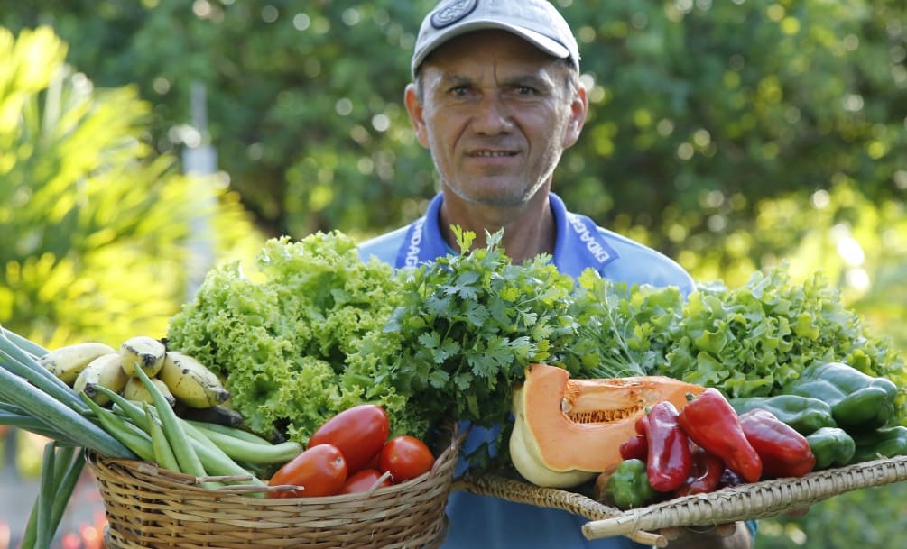 Agricultor segurando os vegetais