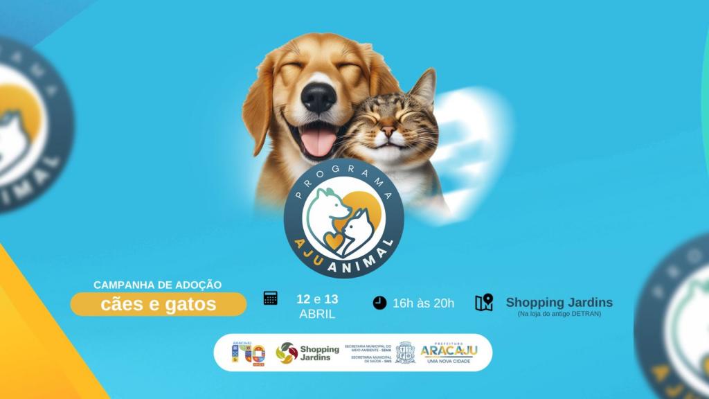 Card: campanha de adoção com 70 cães e gatos 