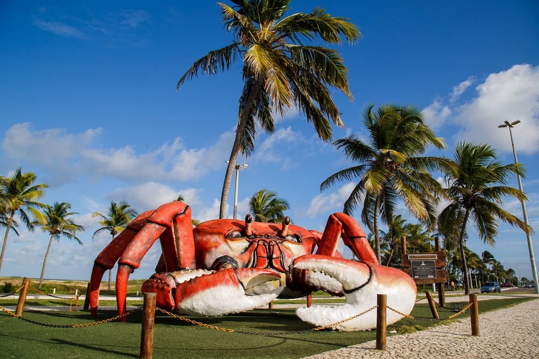 Caranguejo na Passarela na Orla da Atalaia em Aracaju