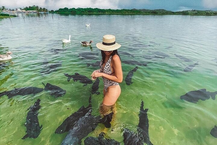 Lagoa dos Tambaquis