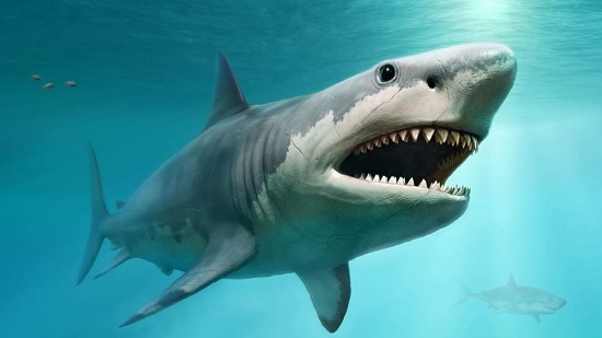 Ilustração do gigante Megalodon espanta tubarão