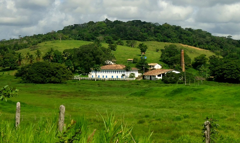 Casarão na Rota do Engenho